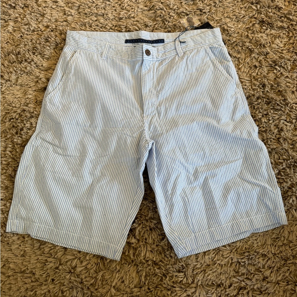 Men's Blue Striped Shorts